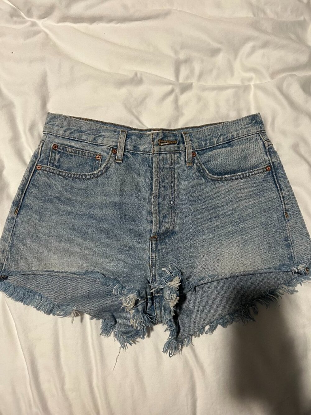 Aritzia Denim Forum The Ex Boyfriend Shorts in Size 28